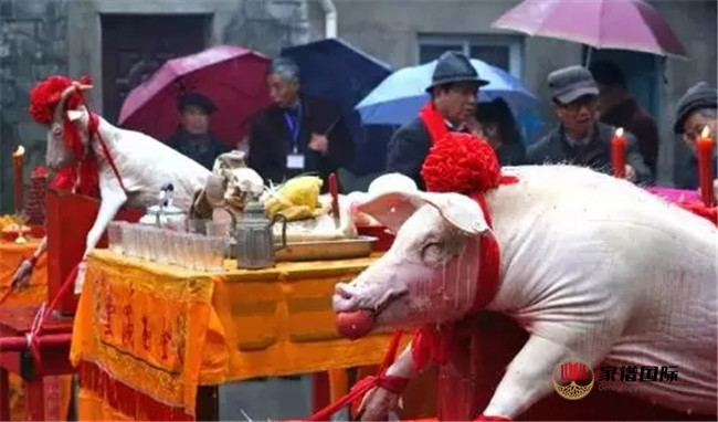 董氏家譜